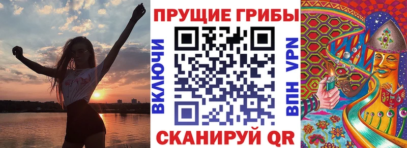 цены   Раменское  площадка состав  Псилоцибиновые грибы Cubensis 